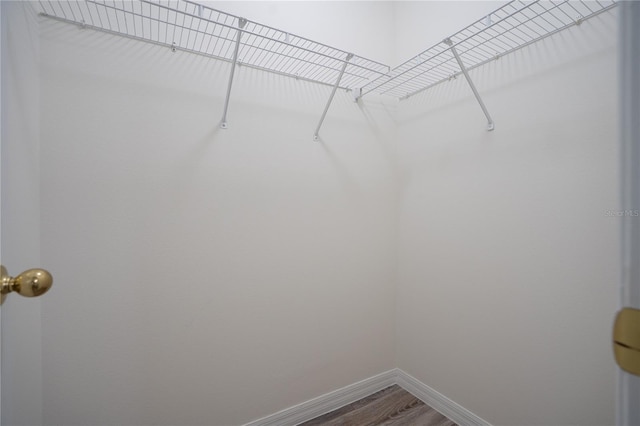 16 Flemington Ln, Palm Coast, FL 32137 - walk in closet with wood finished floors