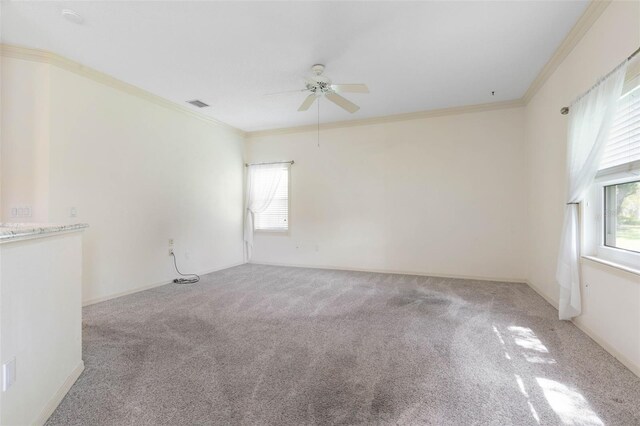 32 Cedar Point Dr, Palm Coast, FL 32164 - photo 15