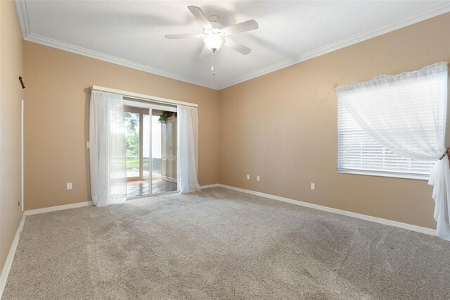 32 Cedar Point Dr, Palm Coast, FL 32164 - photo 28