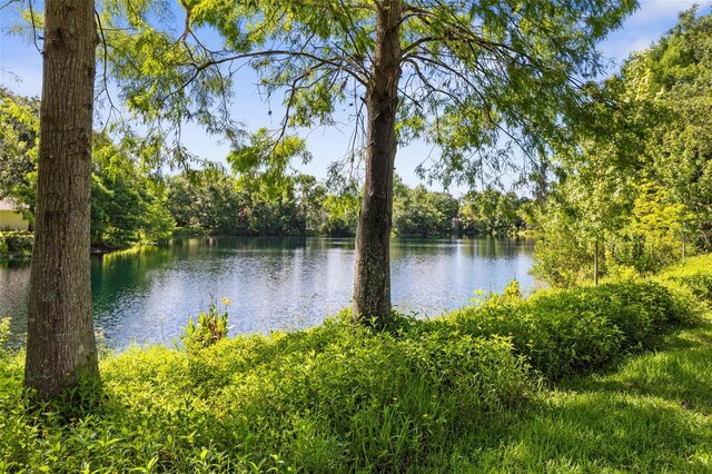 32 Cedar Point Dr, Palm Coast, FL 32164 - photo 48