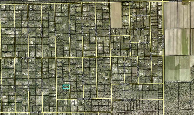 1760 Berrybush St, Bunnell, FL 32110