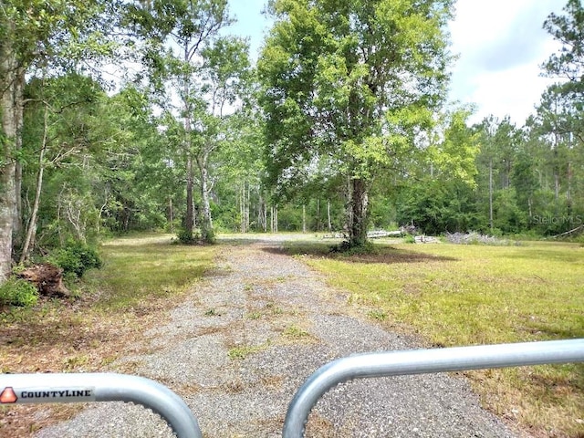 1760 Berrybush St, Bunnell, FL 32110