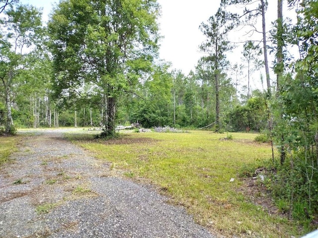 1760 Berrybush St, Bunnell, FL 32110