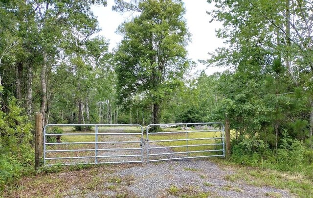 1760 Berrybush St, Bunnell, FL 32110