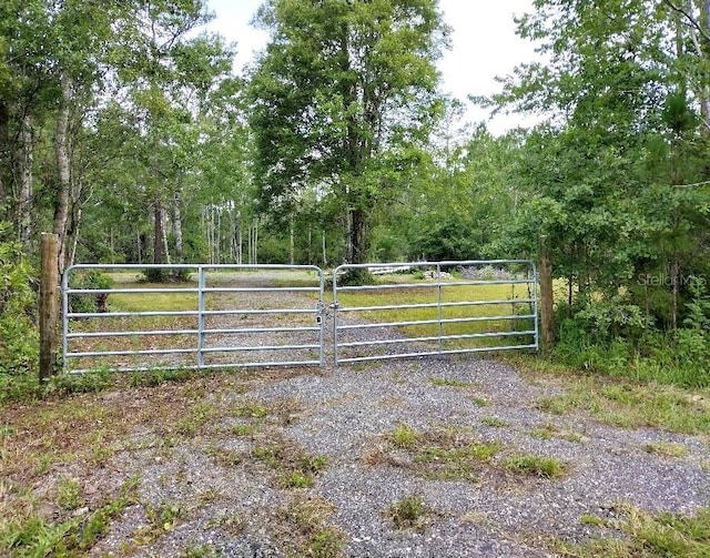 1760 Berrybush St, Bunnell, FL 32110