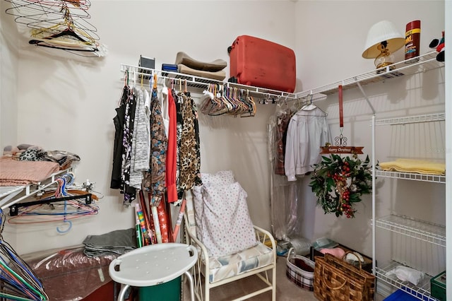 10 Chatham Pl Unit 10, Palm Coast, FL 32164 - view of spacious closet