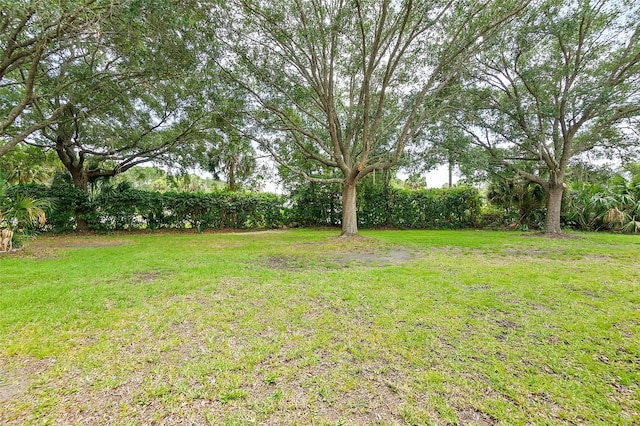 10 Chatham Pl Unit 10, Palm Coast, FL 32164 - view of grassy yard