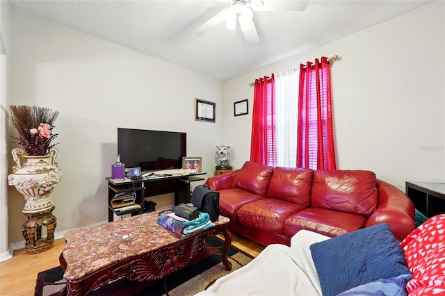 529 Amberwood Ct, Orange Park, FL 32065 - photo 7
