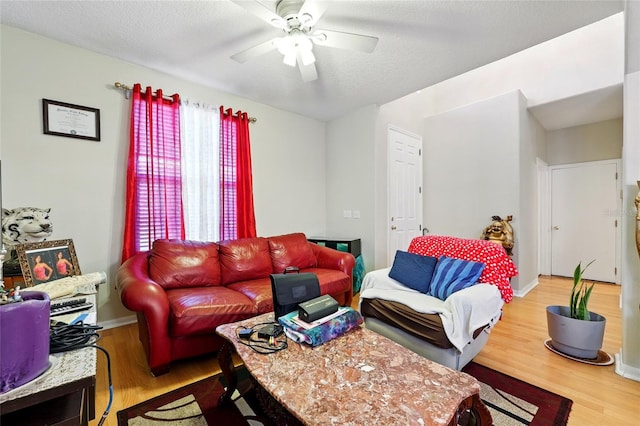 529 Amberwood Ct, Orange Park, FL 32065 - photo 8