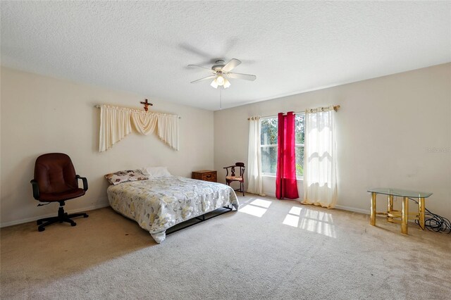 529 Amberwood Ct, Orange Park, FL 32065 - photo 38