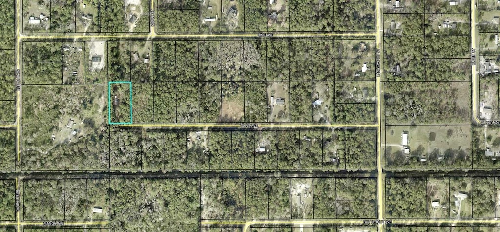 5334 Olive Ave, Bunnell, FL 32110