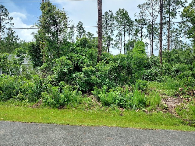 33 Renn Ln, Palm Coast, FL 32164