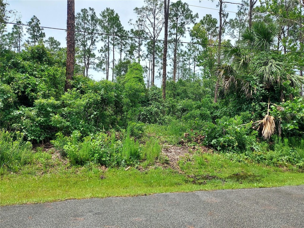 33 Renn Ln, Palm Coast, FL 32164