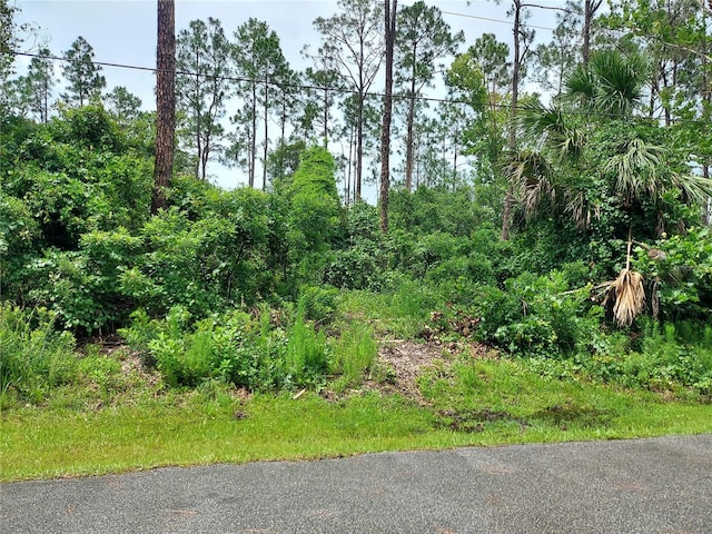 33 Renn Ln, Palm Coast, FL 32164