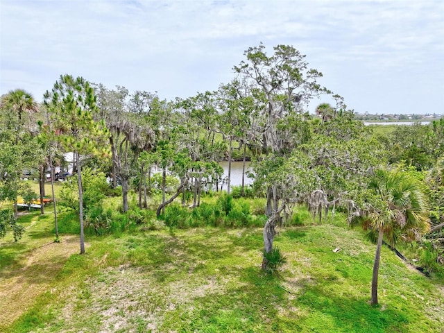 78 Trotters Ln, Flagler Beach, FL 32136 - photo 11