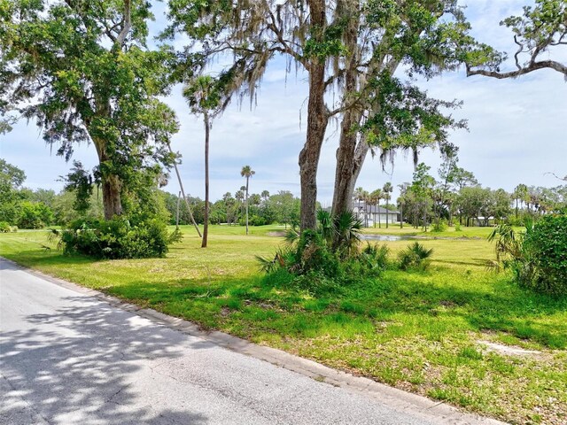 78 Trotters Ln, Flagler Beach, FL 32136 - photo 18