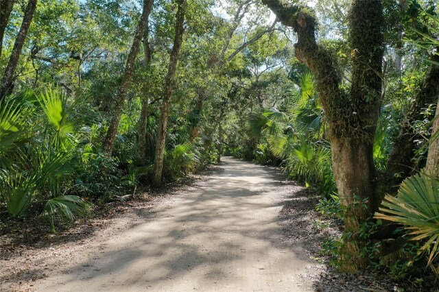 7 Los Lagos Blvd, Palm Coast, FL 32137 - photo 76