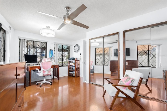 30 Clermont Ct, Palm Coast, FL 32137 - office with a textured ceiling, wood finished floors, and a ceiling fan
