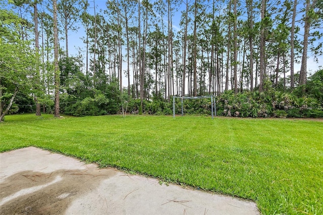 24 Beacon Mill Ln, Palm Coast, FL 32137 - view of grassy yard