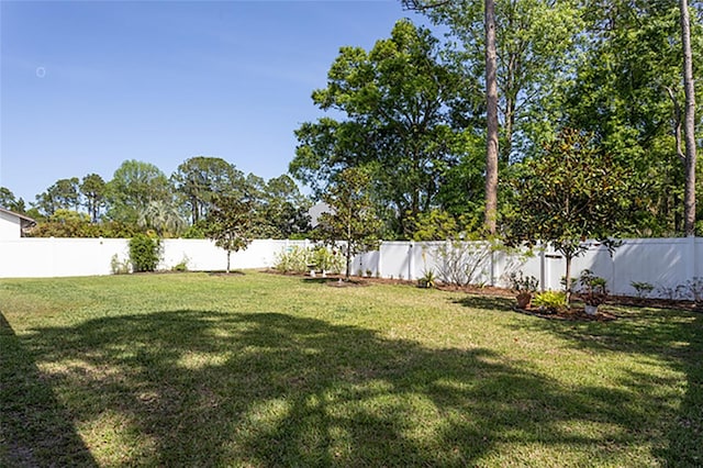 127 Wynnfield Dr, Palm Coast, FL 32164 - view of yard