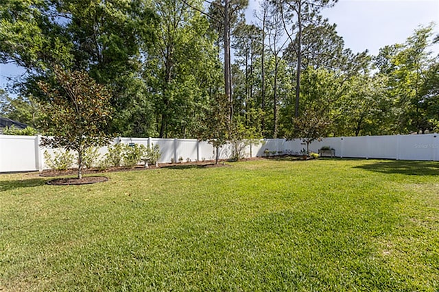 127 Wynnfield Dr, Palm Coast, FL 32164 - view of yard