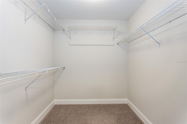 127 Wynnfield Dr, Palm Coast, FL 32164 - walk in closet featuring carpet