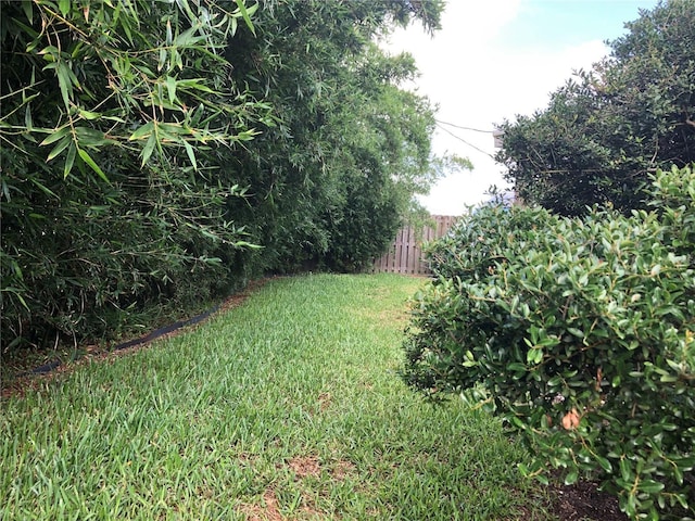 33 Camellia Dr, Ormond Beach, FL 32176 - view of yard