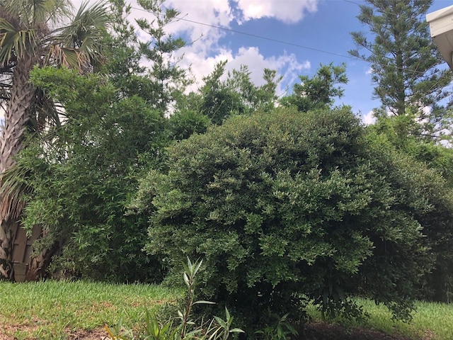 33 Camellia Dr, Ormond Beach, FL 32176 - view of local wilderness