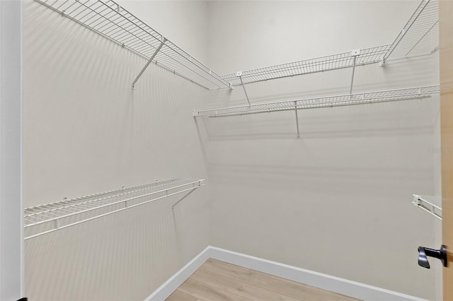 38 Kingsley Cir, Ormond Beach, FL 32174 - walk in closet with wood finished floors