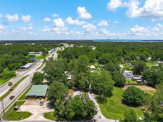 101 Pecan St, Palatka, FL 32177 - photo 2