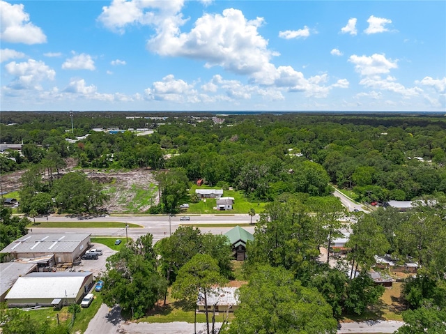 101 Pecan St, Palatka, FL 32177 - photo 4
