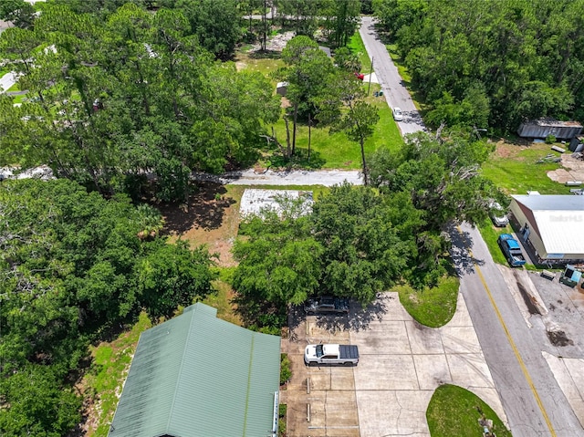 101 Pecan St, Palatka, FL 32177 - photo 7