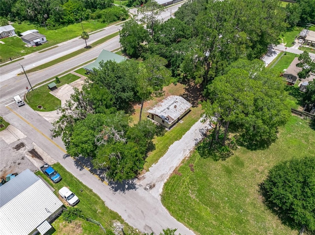 101 Pecan St, Palatka, FL 32177 - photo 9
