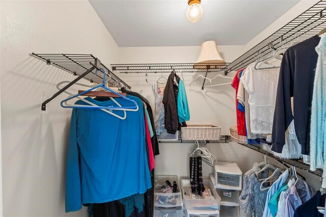179 Frankford Ln, Palm Coast, FL 32137 - view of spacious closet