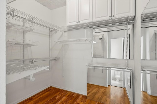 42 Raintree Pl, Palm Coast, FL 32164 - spacious closet featuring wood finished floors