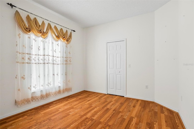 42 Raintree Pl, Palm Coast, FL 32164 - spare room featuring healthy amount of natural light, wood finished floors, and baseboards