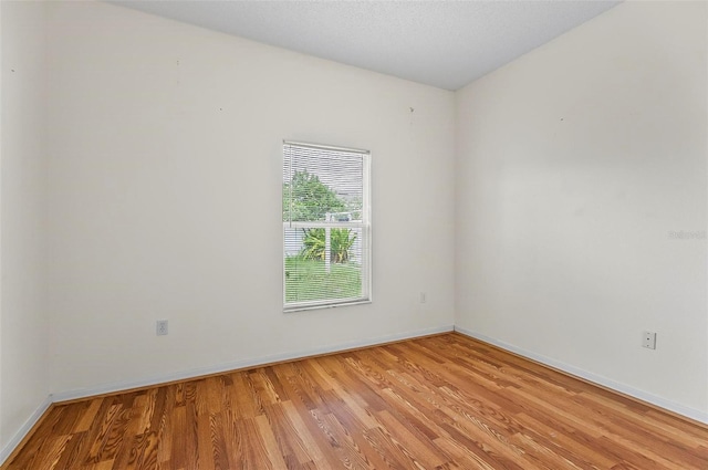 42 Raintree Pl, Palm Coast, FL 32164 - empty room with light wood-style flooring and baseboards