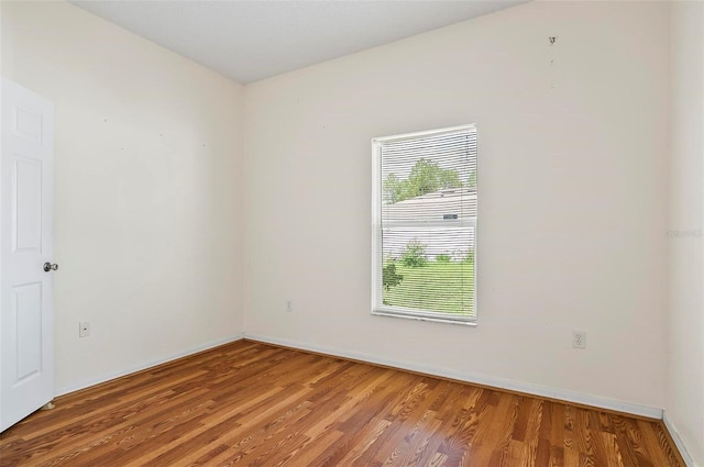 42 Raintree Pl, Palm Coast, FL 32164 - empty room featuring light wood finished floors and baseboards