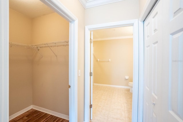 1400 Canopy Walk Ln Unit 1413, Palm Coast, FL 32137 - view of spacious closet
