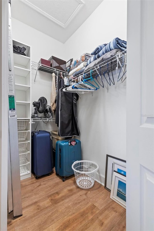 200 Riverfront Dr Unit D302, Palm Coast, FL 32137 - spacious closet featuring wood finished floors and attic access
