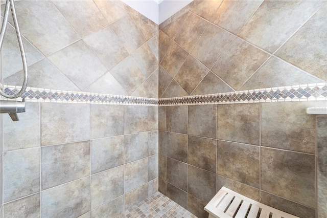 265 Pinehurst Pointe Dr, Saint Augustine, FL 32092 - bathroom view of a tile shower
