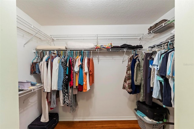 118 Pine Grove Dr, Palm Coast, FL 32164 - spacious closet with wood finished floors