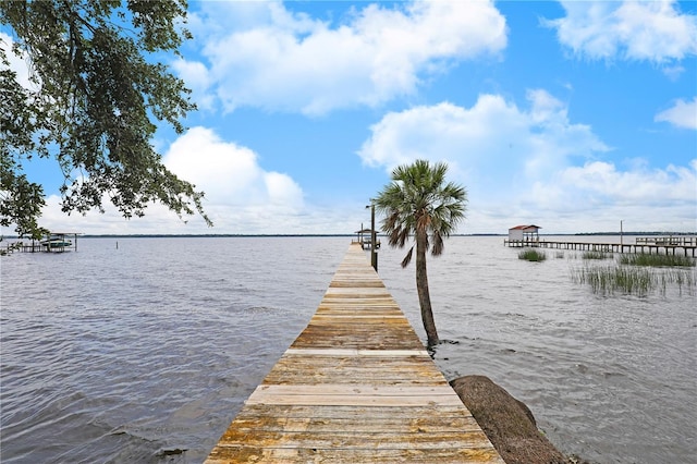 102 N Shore Ln, Crescent City, FL 32112 - photo 43