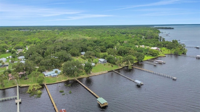 102 N Shore Ln, Crescent City, FL 32112 - photo 55