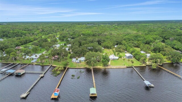 102 N Shore Ln, Crescent City, FL 32112 - photo 58
