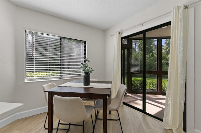 7 Sherbury Ct Unit 7, Palm Coast, FL 32137 - dining space featuring plenty of natural light, wood finished floors, and baseboards