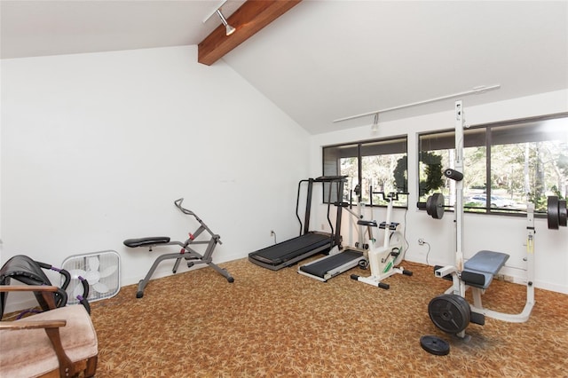 7 Sherbury Ct Unit 7, Palm Coast, FL 32137 - exercise room featuring carpet, vaulted ceiling, and baseboards