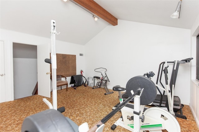 7 Sherbury Ct Unit 7, Palm Coast, FL 32137 - workout room with vaulted ceiling