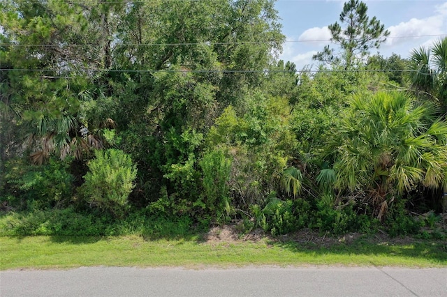 4 Buffalo Plains Ln, Palm Coast, FL 32137 - photo 2