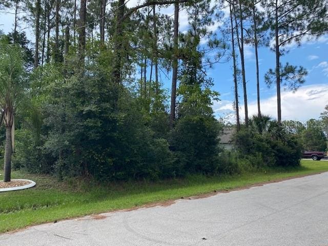 35 Ramblewood Dr, Palm Coast, FL 32164 - photo 2
